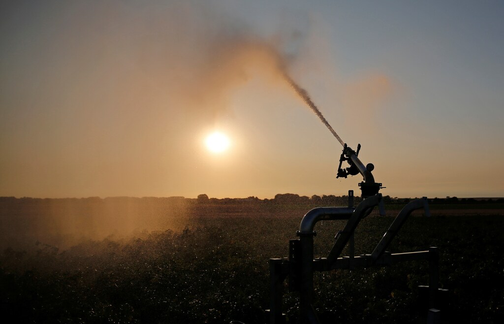 A farmer irrigates his field of potatoes during sunset, in Tilloy-Lez-Cambrai, northern France, August 3, 2018. REUTERS/Pascal Rossignol - RC11CF6A36C0