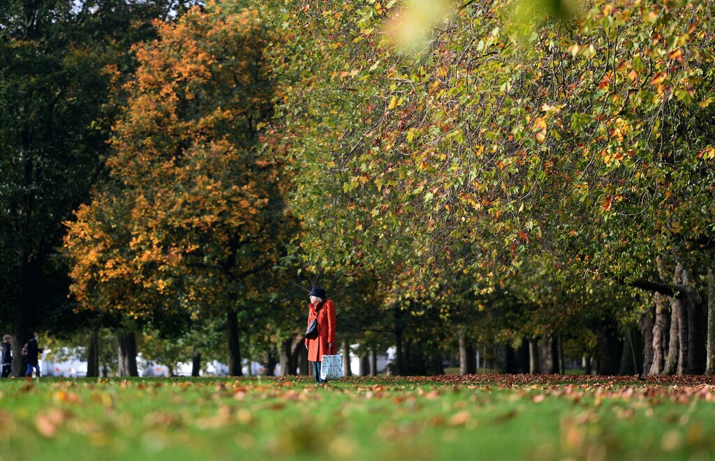 A woman walks past trees displaying autumn colours in Victoria Park, in London, Britain October 21, 2017. REUTERS/Mary Turner - RC18688E8CB0