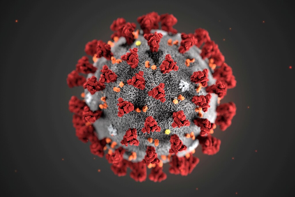 The ultrastructural morphology exhibited by the 2019 Novel Coronavirus (2019-nCoV), which was identified as the cause of an outbreak of respiratory illness first detected in Wuhan, China, is seen in an illustration released by the Centers for Disease Control and Prevention (CDC) in Atlanta, Georgia, U.S. January 29, 2020. Alissa Eckert, MS; Dan Higgins, MAM/CDC/Handout via REUTERS. THIS IMAGE HAS BEEN SUPPLIED BY A THIRD PARTY. THIS IMAGE WAS PROCESSED BY REUTERS TO ENHANCE QUALITY, AN UNPROCESSED VERSION HAS BEEN PROVIDED SEPARATELY.MANDATORY CREDIT TPX IMAGES OF THE DAY - RC2WPE9B0G2T