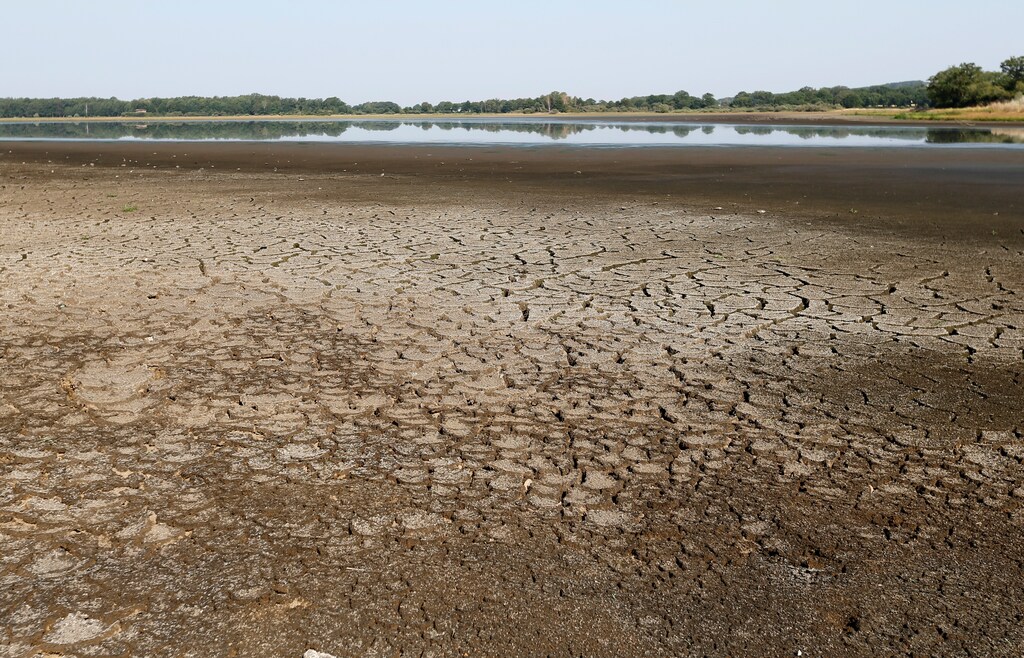 A view shows dried up mud from the Landes pond in Lussat, central France, as the hot weather prolongs drought conditions in France, July 25, 2019. REUTERS/Regis Duvignau - RC13F3A262F0