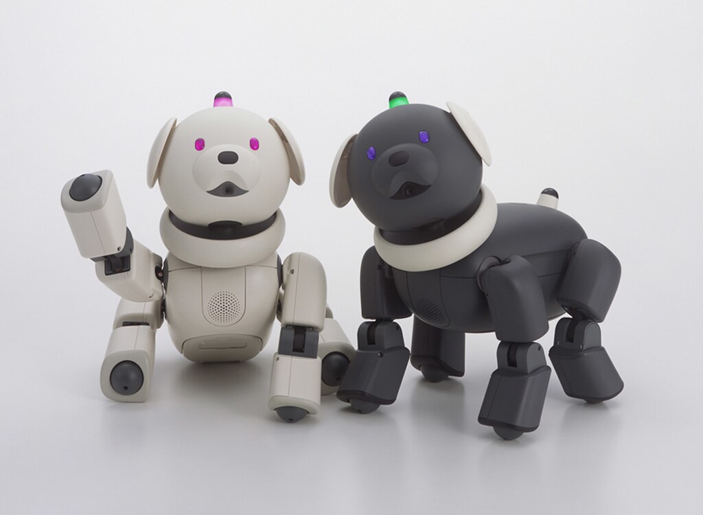 - UNDATED PHOTO - Sony's AIBO LM Series robots Latte (L) and Macaron, the new robotic puppies scheduled for unveiling on September 5, 2001 by Sony Electronics Inc.'s unit, Entertainment Robot America, are shown in this undated photograph. The toys, equipped with artificial intelligence and digital cameras just like their big brother AIBO, will be in Sony stores and select FAO Schwarz toy stores on Oct. 27 for $850 each. Sony and FAO Schwarz will start taking pre-orders on Oct. 1. (Credit : Entertainment Robot America, Sony Electronics) - RTXKQ6A