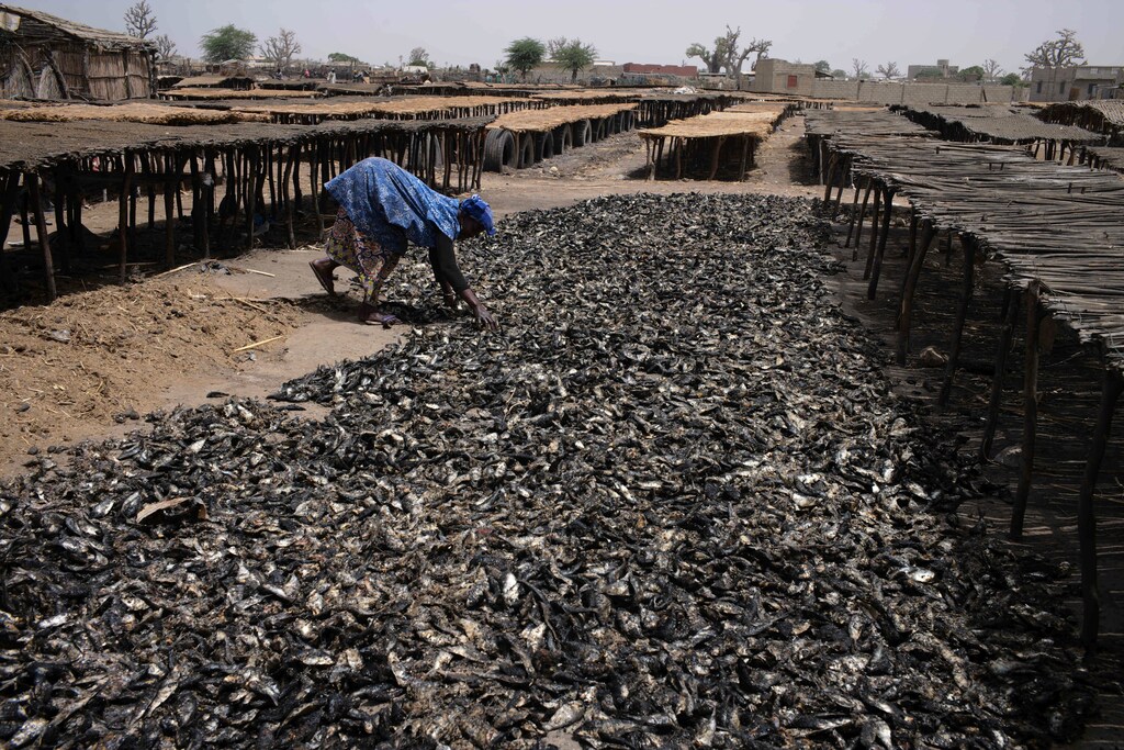 A woman sorts through fish at an artisanal fish processing facility in the coastal town of Joal-Fadiouth, Senegal, April 10, 2018. Picture taken April 10, 2018. To match Special Report OCEANS-TIDE/SARDINELLA REUTERS/Sylvain Cherkaoui TPX IMAGES OF THE DAY - RC1EC39F1B90