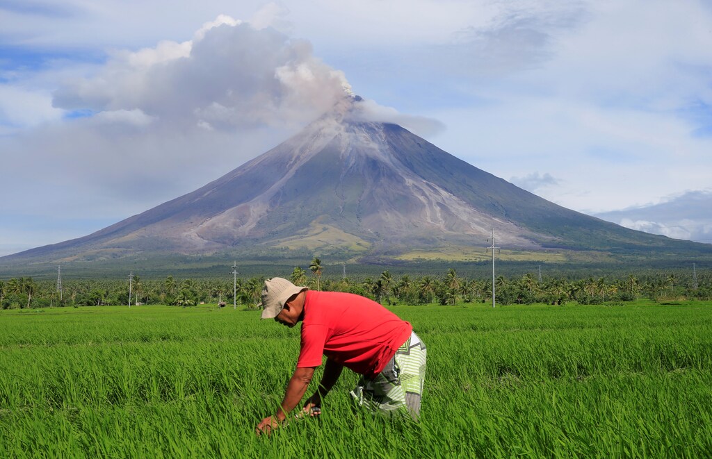 A farmer works on a rice farm while Mount Mayon volcano spews ash during a new eruption in Daraga, Albay province, Philippines January 25, 2018. REUTERS/Romeo Ranoco TPX IMAGES OF THE DAY - RC1F3F50EA90