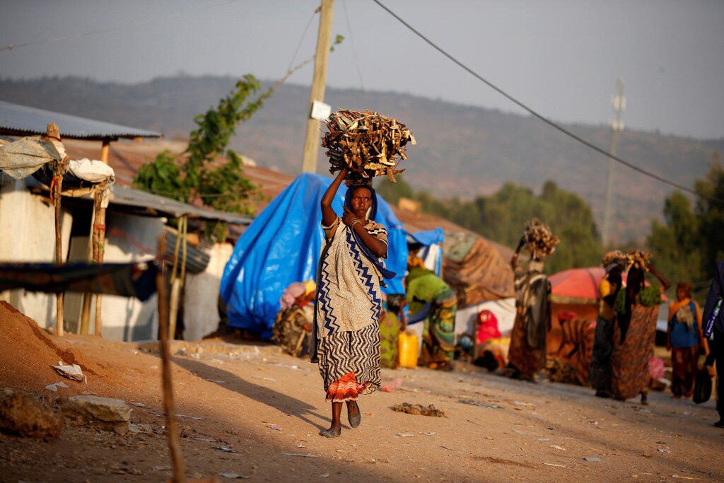 A woman carries wood within the walled city of Harar, Ethiopia, February 24, 2017. REUTERS/Tiksa Negeri SEARCH "NEGERI HYENA" FOR THIS STORY. SEARCH "WIDER IMAGE" FOR ALL STORIES. - RC1C8C6F73C0