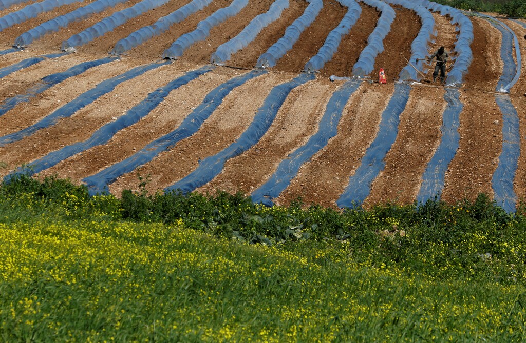An African migrant tills the soil in a crop field in Bidnija, Malta, February 19, 2018. REUTERS/Darrin Zammit Lupi - RC197192F200
