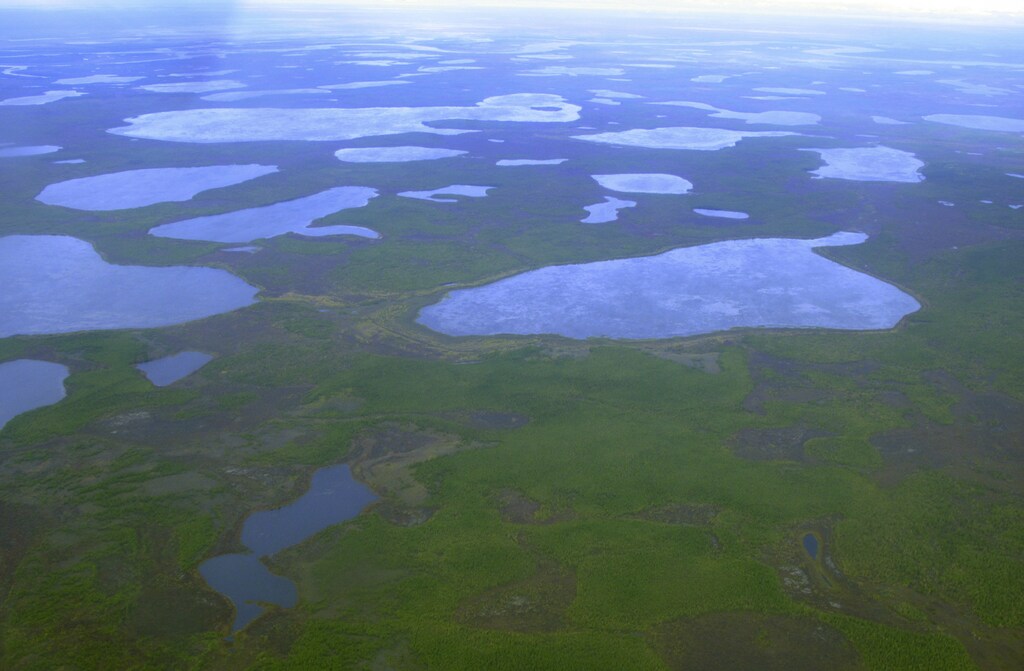 An aerial view shows thermokarst lakes outside the town of Chersky in northeast Siberia, where permafrost is starting to thaw.