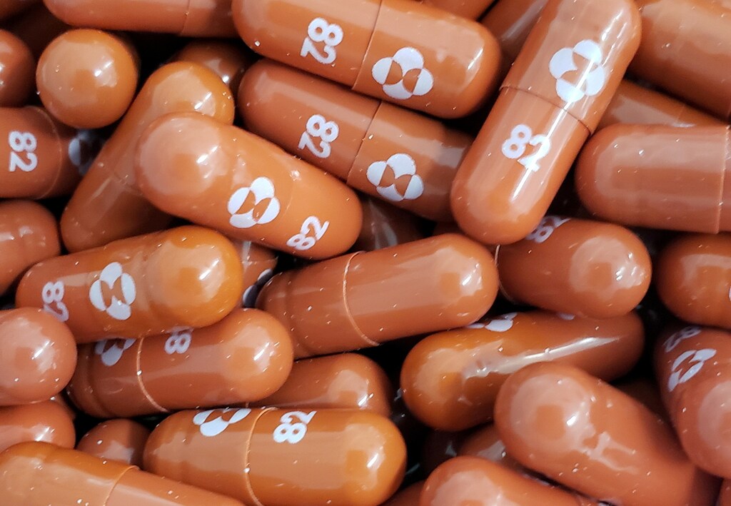 Capsules of the COVID-19 treatment known as molnupiravir, which has been approved by British health regulators.