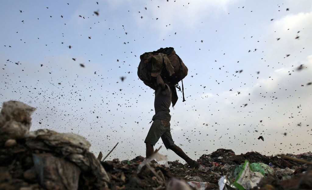 Insects and birds fly in a dump yard as a rag picker collects scraps in New Delhi June 27, 2013. REUTERS/Anindito Mukherjee (INDIA - Tags: ENVIRONMENT SOCIETY TPX IMAGES OF THE DAY POVERTY) - GM1E96R13TG01