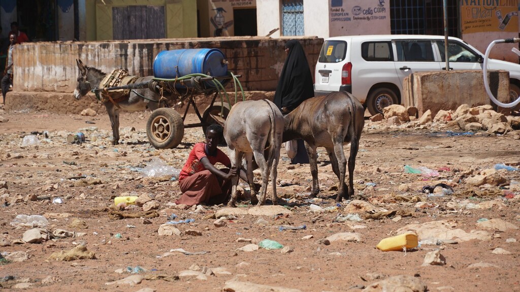 Somalia is facing one of its worst food crises as it struggles with years of poor food production.