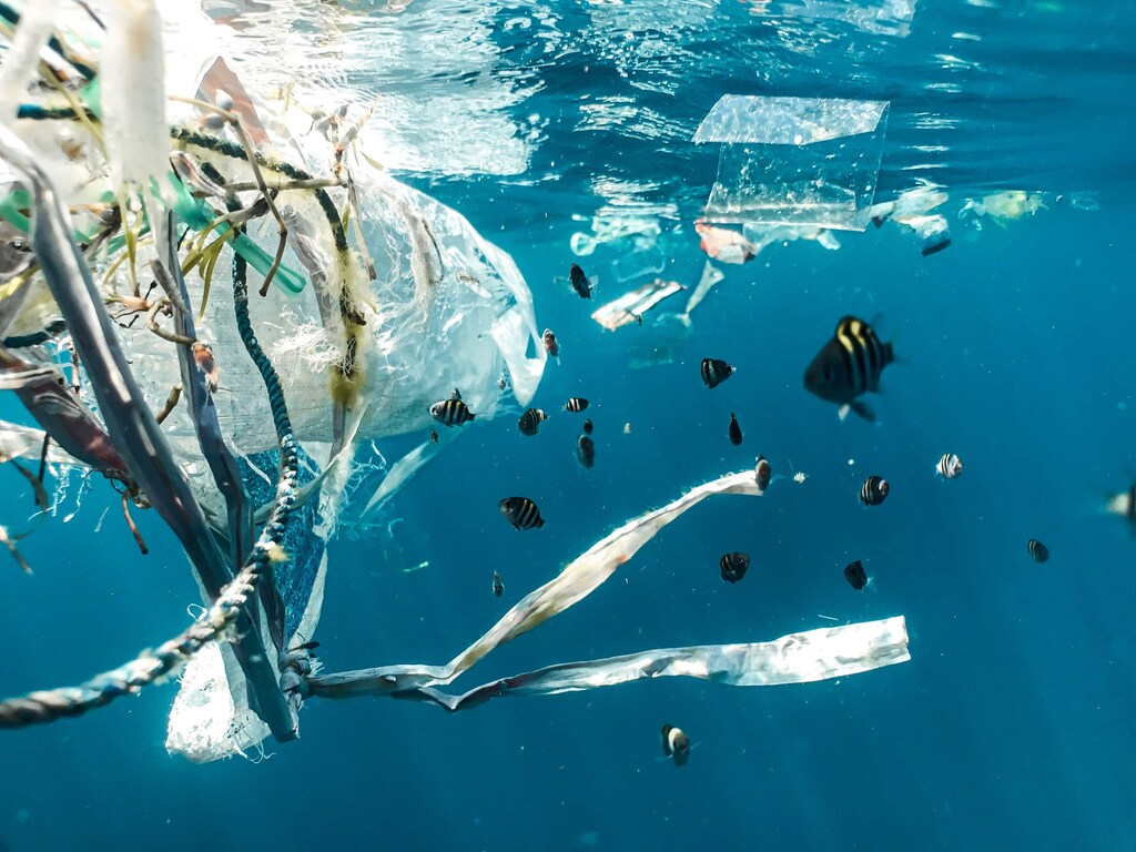 The Loop system from TerraCycle promotes the reuse of product packaging rather than recycling.