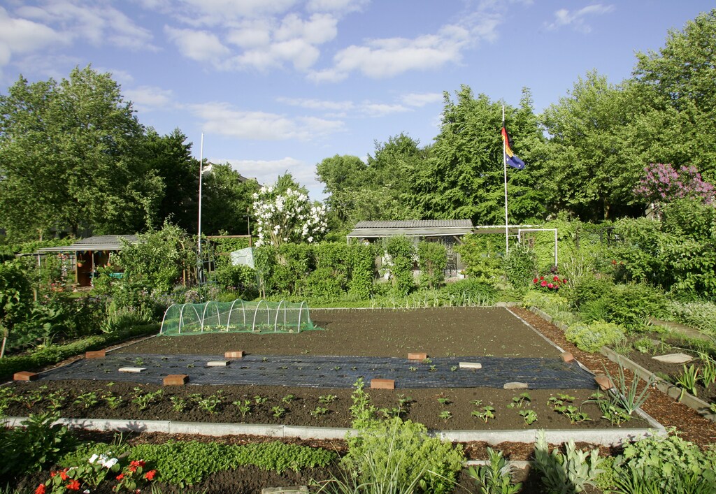 A typical 'Schrebergarten', which means allotment garden, is seen in Dortmund May 22, 2006. The FIFA soccer World Cup 2006 will be held in Germany from June 9 - July 9. WORLD CUP 2006 PREVIEW REUTERS/Ina Fassbender (GERMANY) - BM2DSRGSHEAA
