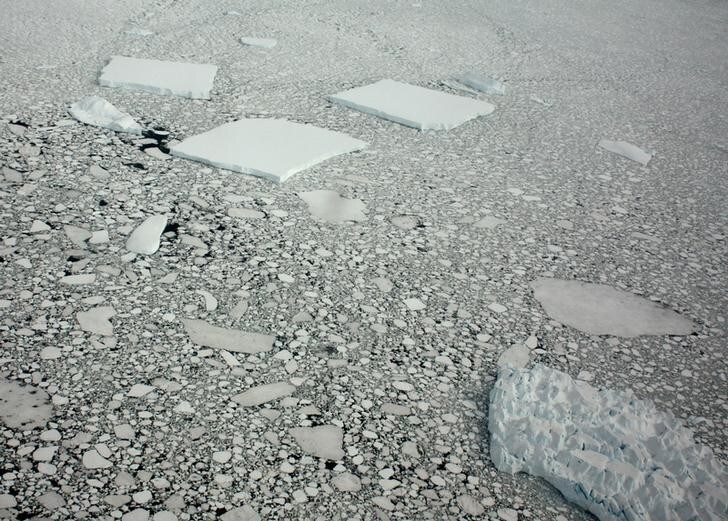 A view of icebergs remaining after a break-up of Wilkins ice shelf on the Antarctic Peninsula, January 19, 2009. Picture taken January 19, 2009. REUTERS/Alister Doyle