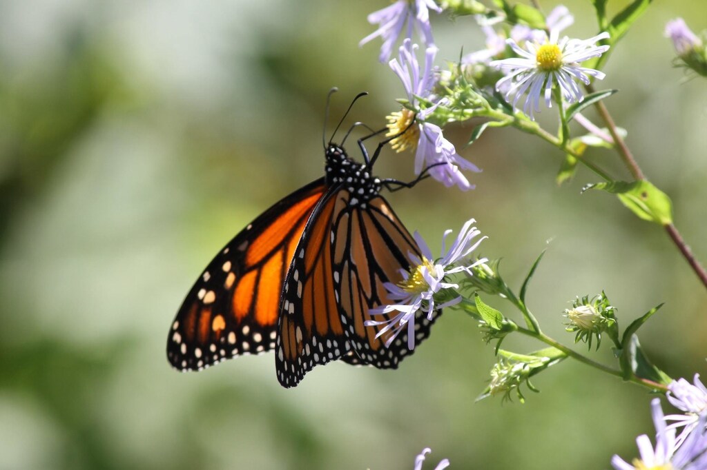 It's time to recognise the economic value of an ecosystem.