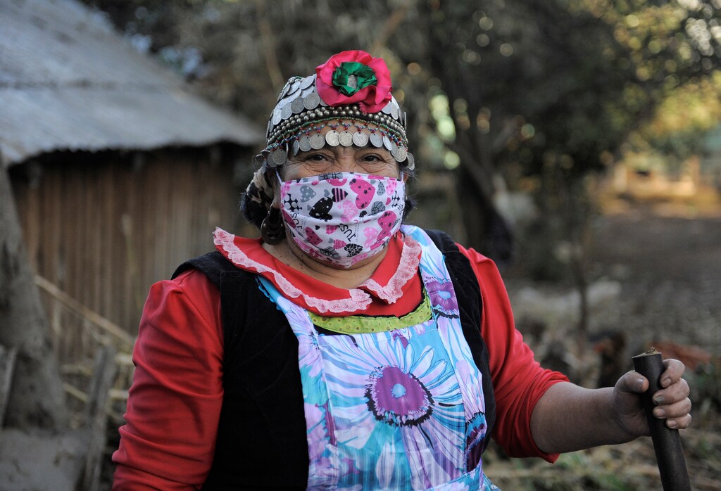 Estela Astorga Porma, a Mapuche Indian woman, wears a face mask while posing for a picture outside her 'Ruka' (House) while they self-isolate their indigenous community from the outside world, amid the spread of the coronavirus disease (COVID-19) in Huentelolen area close Tirua town, Chile May 7, 2020. Picture taken May 7, 2020. REUTERS/Jose Luis Saavedra - RC2AMG9PO71P