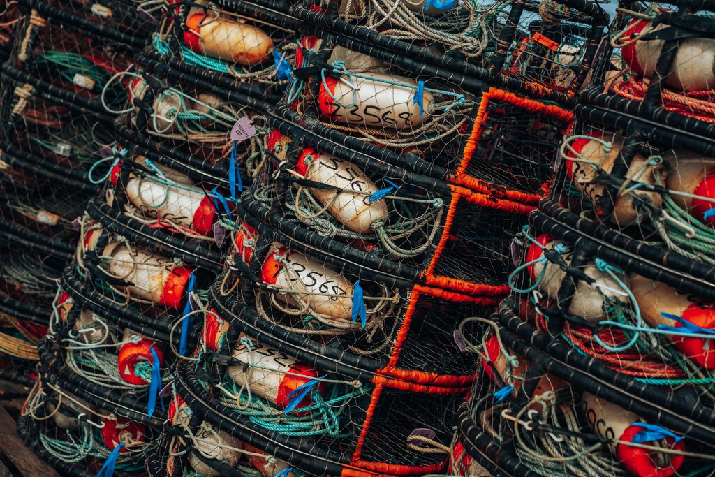 Pilas de trampas para cangrejos desgastadas esperan la temporada de pesca en Bodega Bay, California.