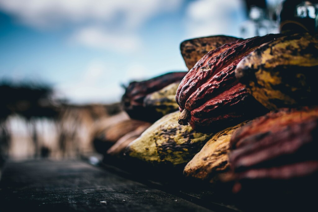 Top climate change and environment stories: COP15 UN biodiversity summit begins in Canada; Cocoa farmers need living wage to address sustainability; and more.
