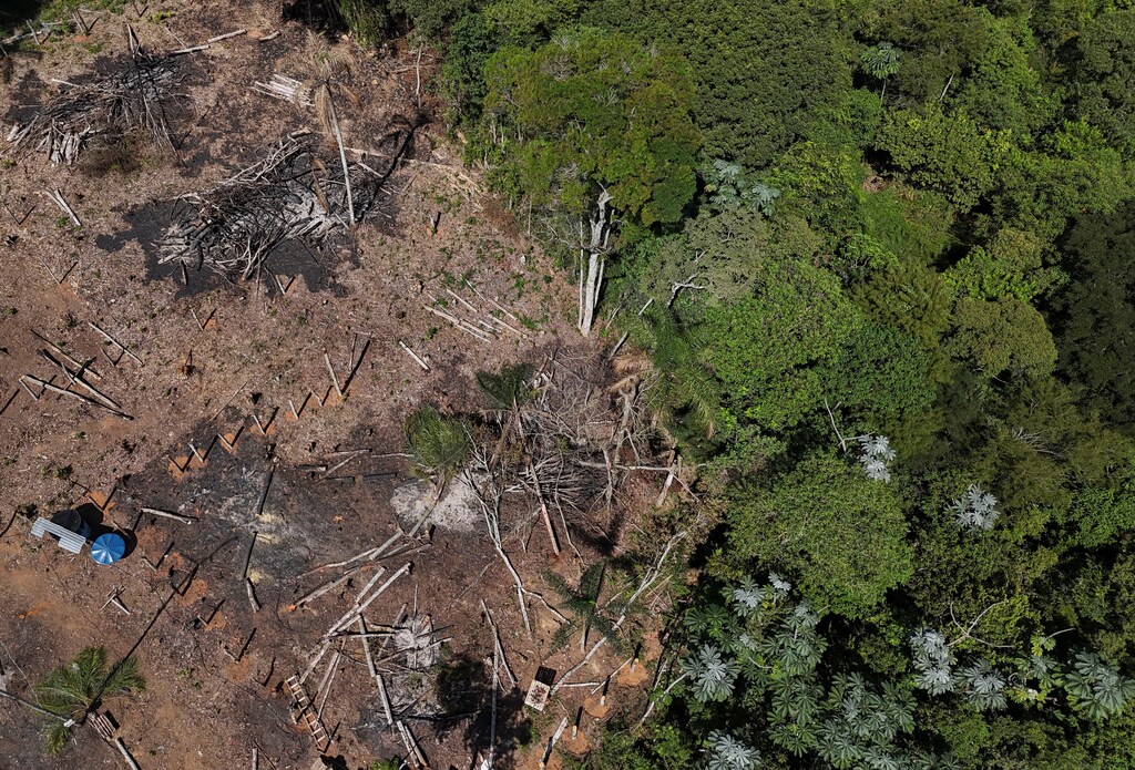 Una zona deforestada ilegalmente en las afueras de San Pablo, Brasil.