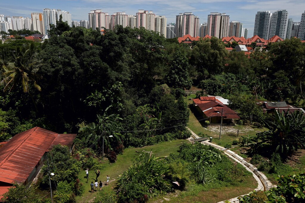 Local tourists play a traditional game of jumping rope, called 'zero point', while touring Kampong Lorong Buangkok, the last remaining village in Singapore, with the city skyline in the background, October 3, 2020. Picture taken October 3, 2020. REUTERS/Edgar Su - RC26CJ96U3YH