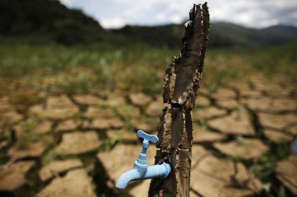 A drought-related cactus installation called "Desert of Cantareira" by Brazilian artist and activist Mundano is seen at Atibainha dam, part of the Cantareira reservoir, during a drought in Nazare Paulista, Sao Paulo December 2, 2014. Sao Paulo, Brazil's drought-hit megacity of 20 million, has about two months of guaranteed water supply remaining as it taps into the second of three emergency reserves, officials say. REUTERS/Nacho Doce (BRAZIL - Tags: DISASTER ENVIRONMENT SOCIETY) - RTR4GH6M