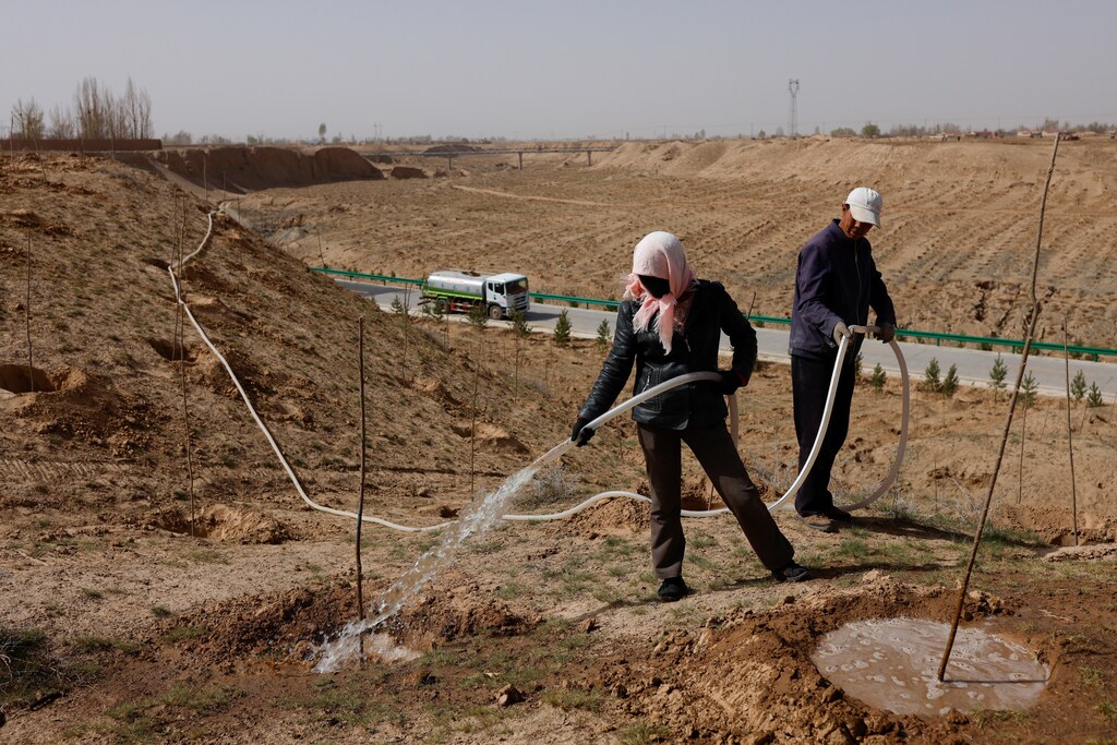Workers water recently planted trees outside a village near the edge of the Gobi desert on the outskirts of Wuwei, Gansu province, China, April 15, 2021. Tree-planting has been at the heart of China's environmental efforts for decades as the country seeks to turn barren deserts and marshes near its borders into farmland. REUTERS/Carlos Garcia Rawlins SEARCH "SAND RAWLINS" FOR THIS STORY. SEARCH "WIDER IMAGE" FOR ALL STORIES - RC27WM92C17Z