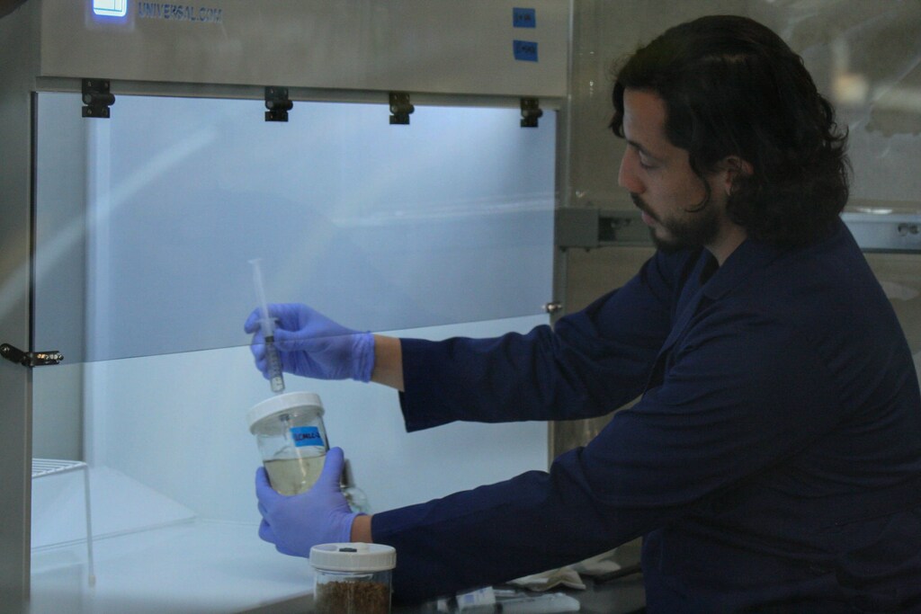 Mycocycle is applying fungi to remove toxins from landfill waste, converting trash into new bioproducts.
