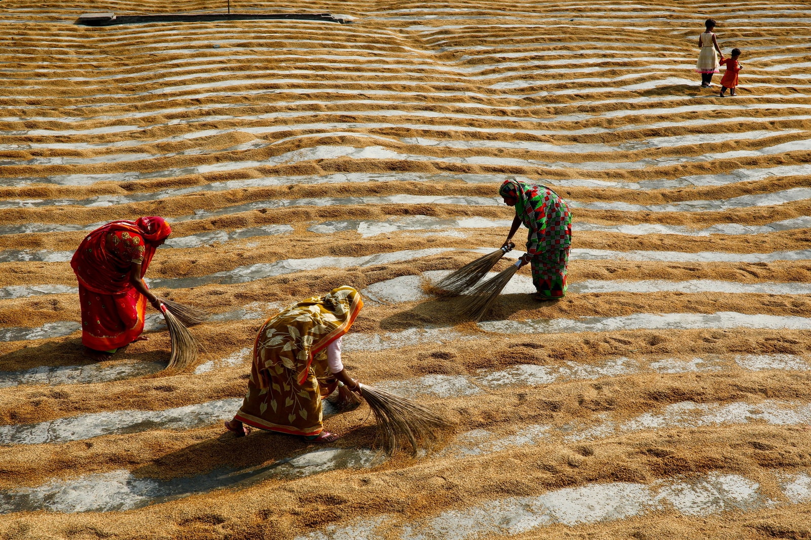 Food security in Bangladesh