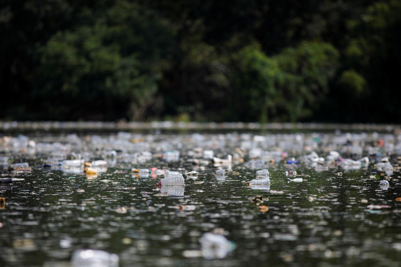 How machine learning can help to recycle compostable plastic World