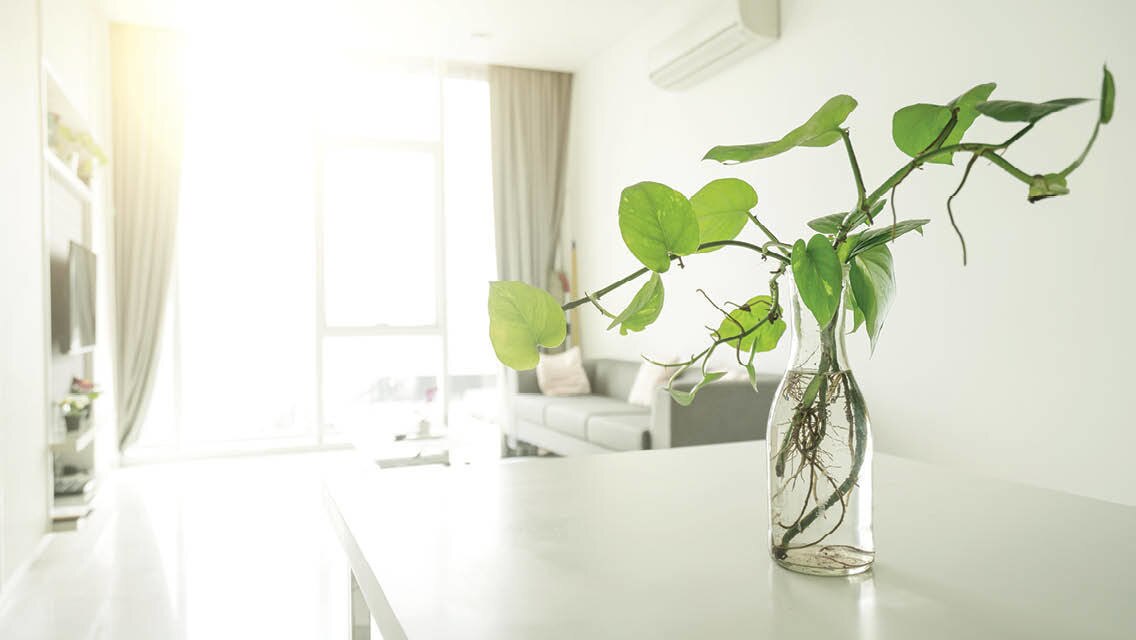 Indoor Air Pollution What Causes It And How To Tackle It World Economic Forum