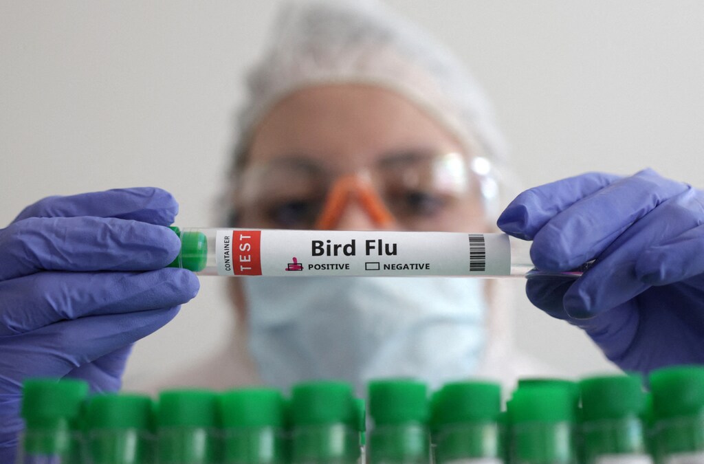 Top health news: Cambodia bird flu viruses identified; and more | World ...