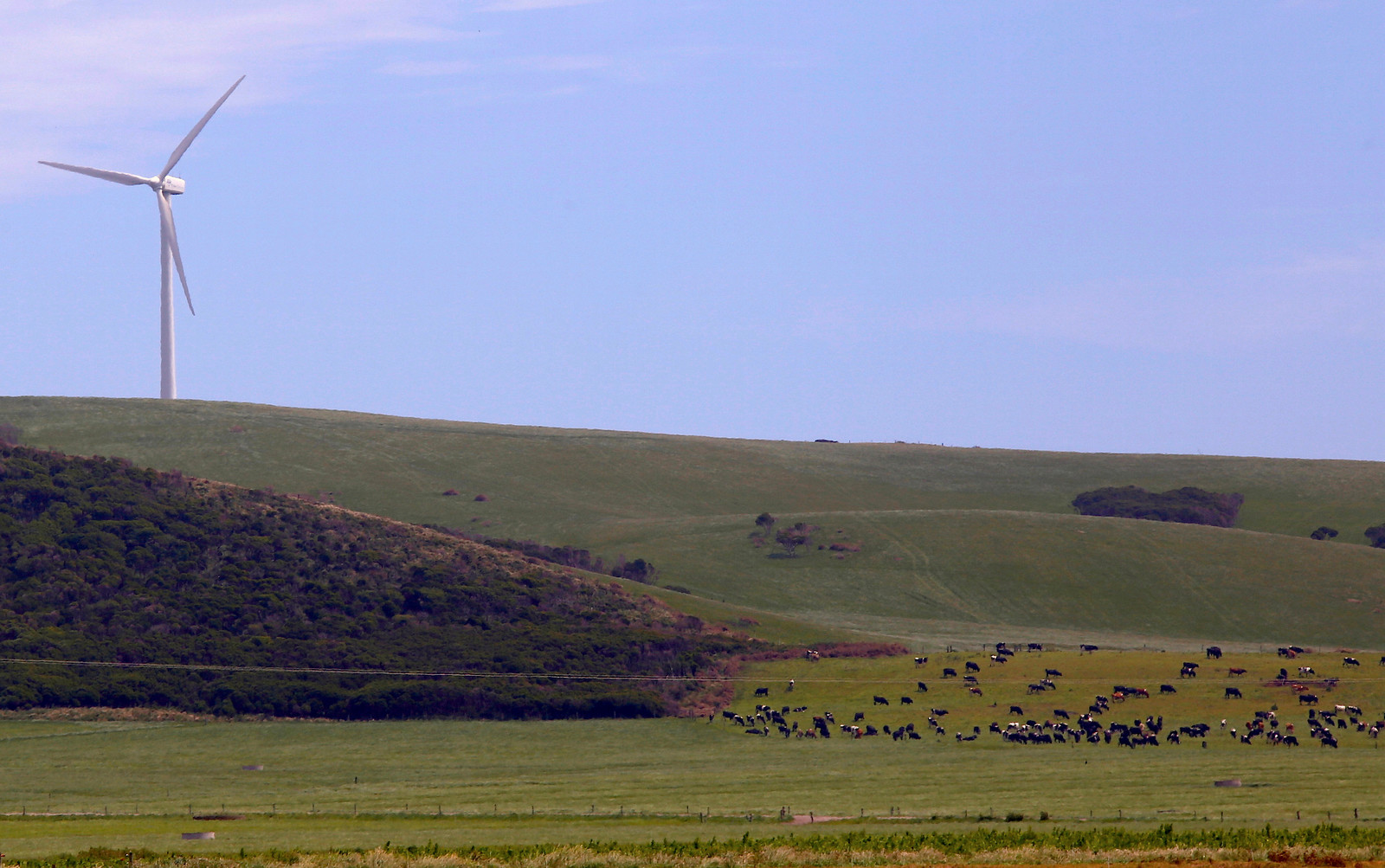 What South Australia can teach us about renewable energy World
