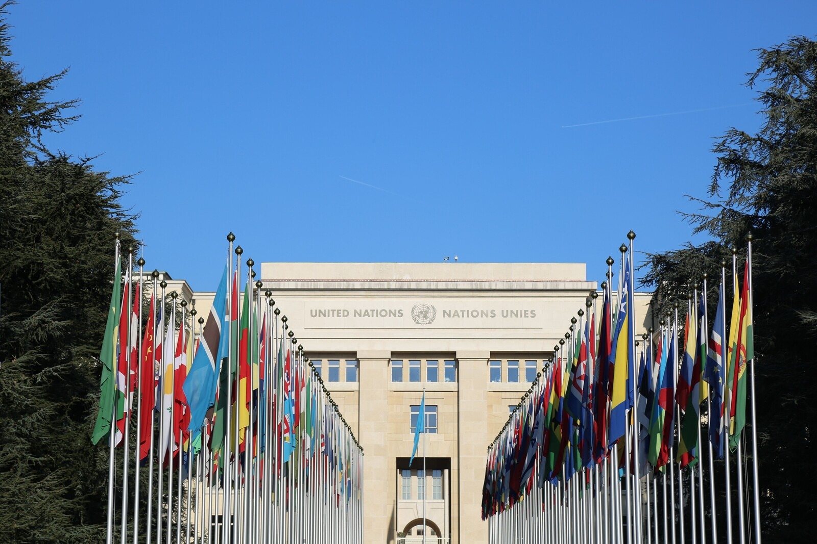 Un órgano de la ONU para la gobernanza de la IA: las noticias sobre