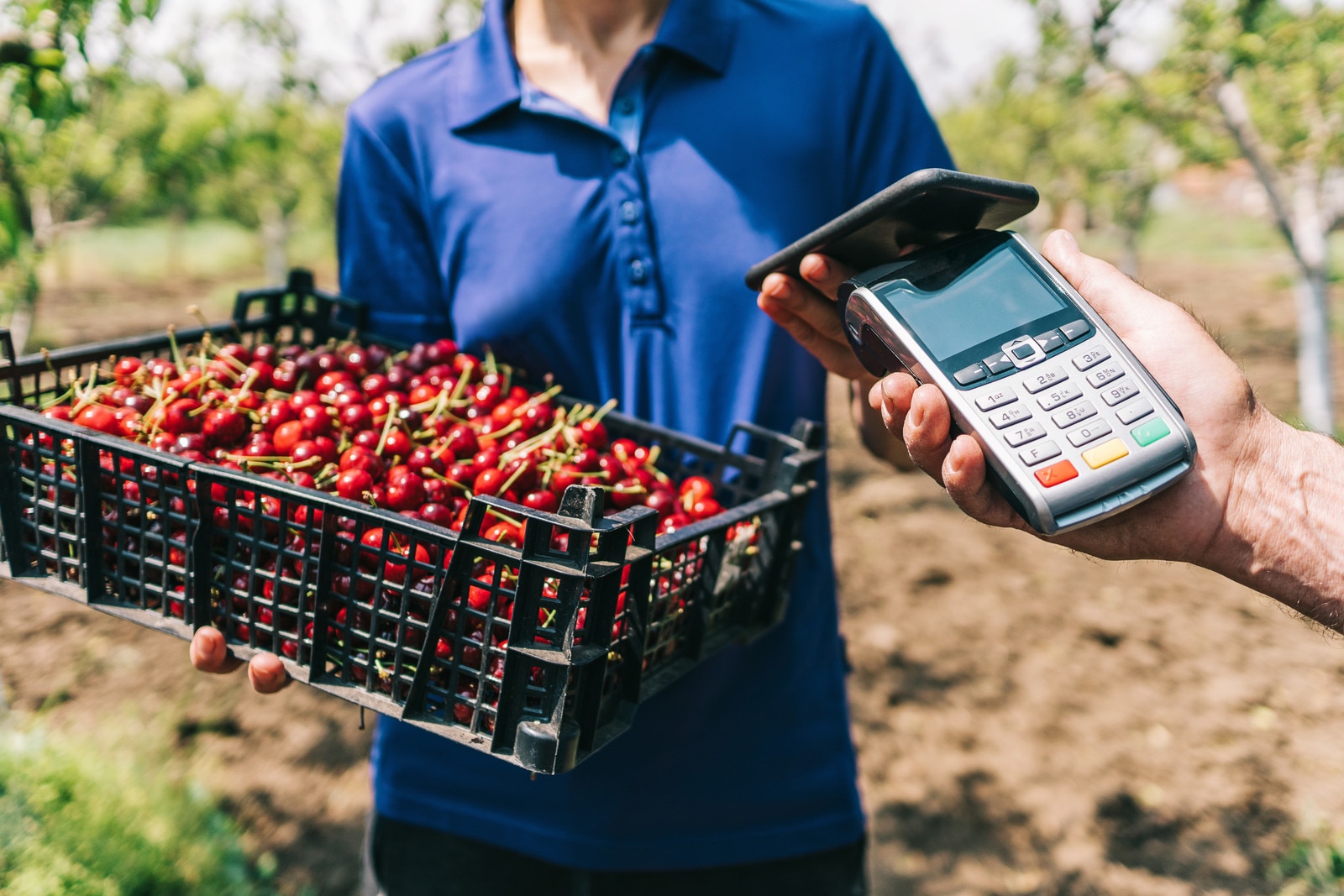 Enabling More Efficient And Secure Cash Based Humanitarian Assistance