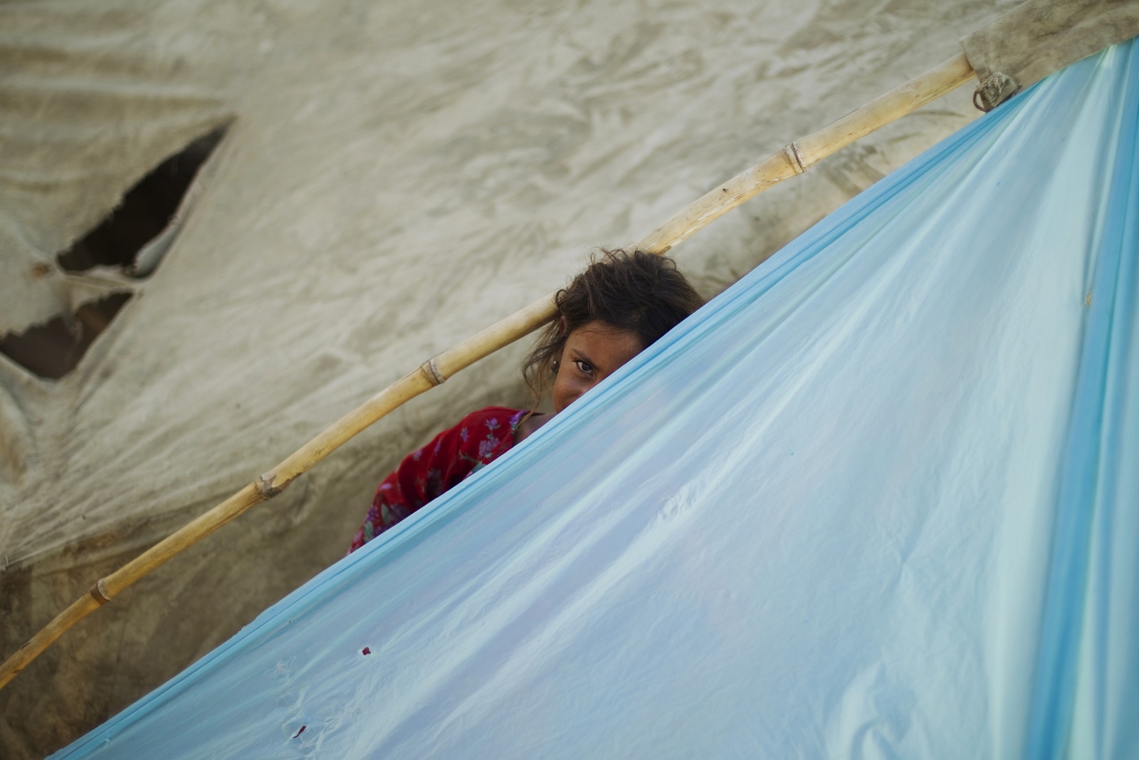 What do gender equity and climate change have in common? World