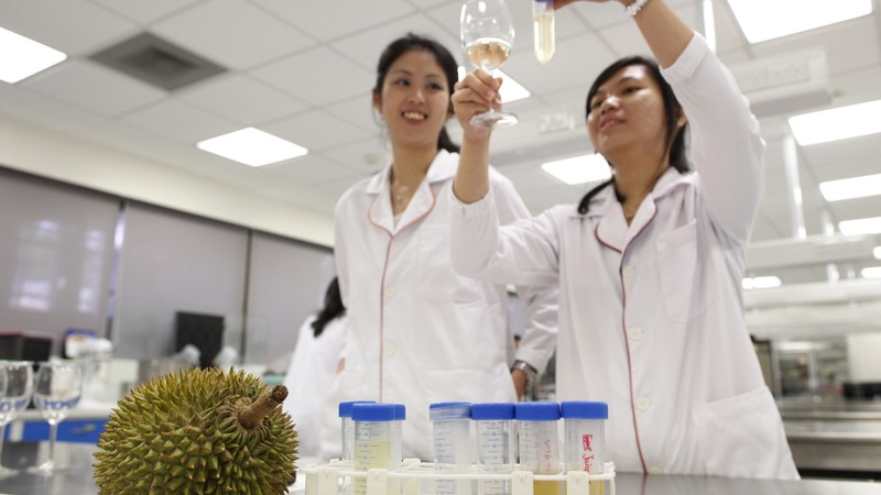 The top 10 universities in Asia | World Economic Forum