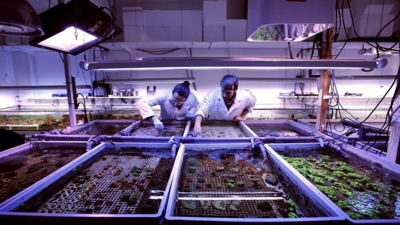 How biotechnology is evolving in the Fourth Industrial Revolution ...