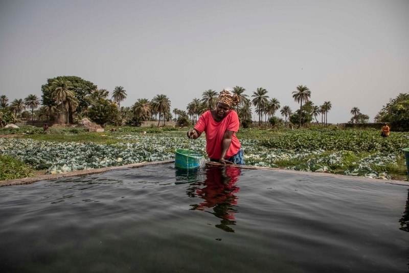 3 key fronts on which Africa must combat climate change World