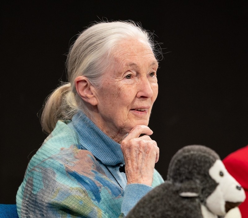 Jane Goodall on COP26, hope and making real change happen | World Economic Forum