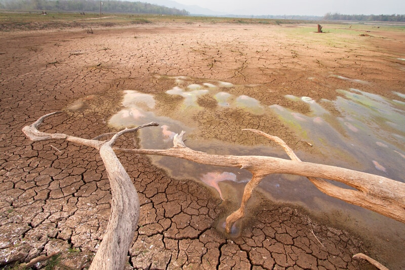 COP28: Bridging the climate finance gap in Africa and beyond - Vimarsana News