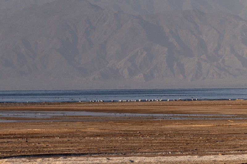 Salton Sea Why is it important and how can we protect it? World