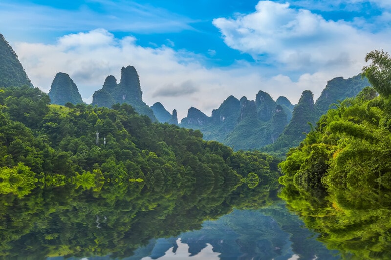 Reflections from China: Scaling nature finance from policy ambition to market reality