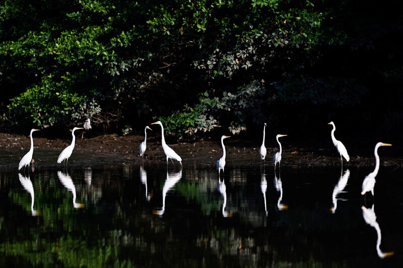 Young leaders have the power to protect the Amazon. Here's how - Vimarsana News