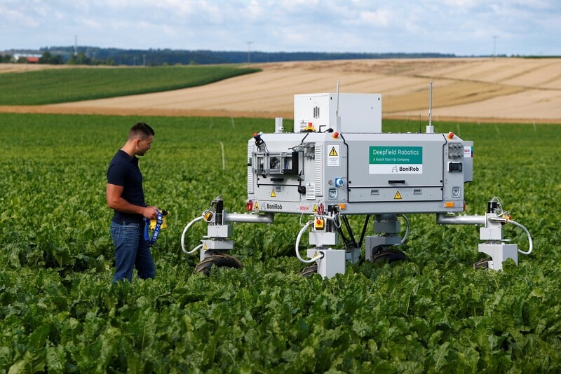4 Wege zur Gestaltung von Agrar- und Ernährungsinnovationen für eine sich ...