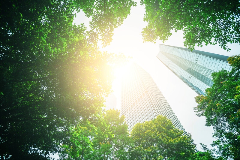 A steward’s view on how business can rebuild Earth systems