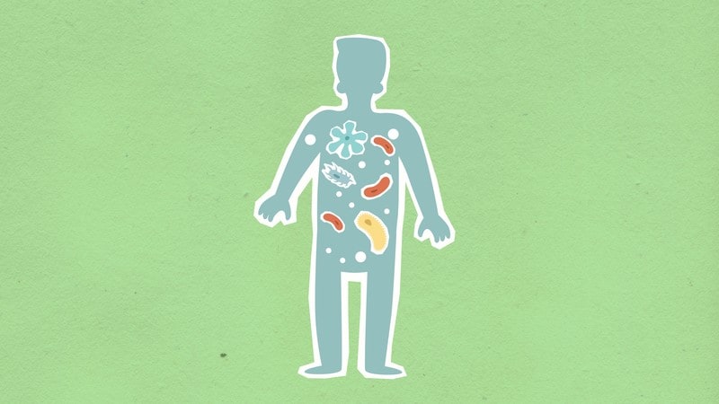 Microwaving Noodles Are You Increasing Your Cancer Risk - au644k6