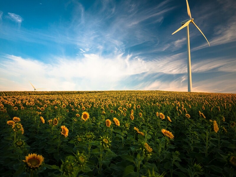 Stewardship: building businesses for future generations