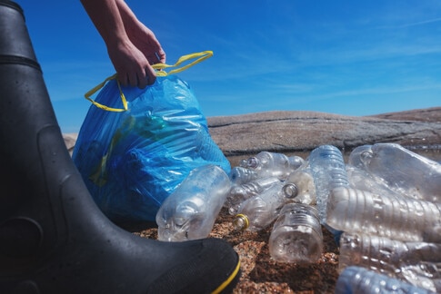 How ocean acidification is affecting oyster reef ecosystems | World ...