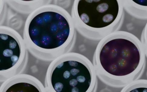 Realizing synthetic biology's potential for people and planet - Vimarsana News