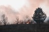 This Ai Model Can Help Prevent Up To 76 Of Wildfires World Economic