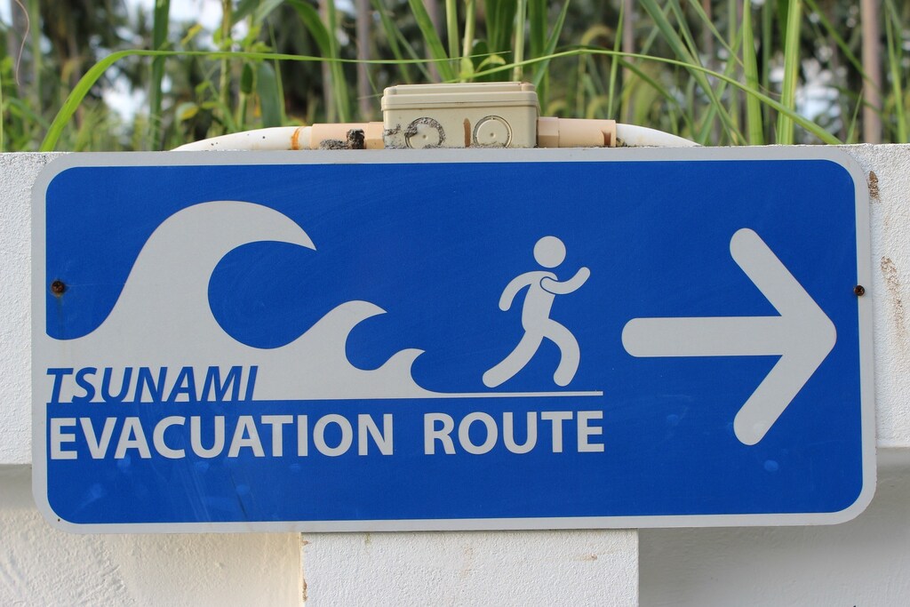 Blue sign showing tsunami evacuation route.