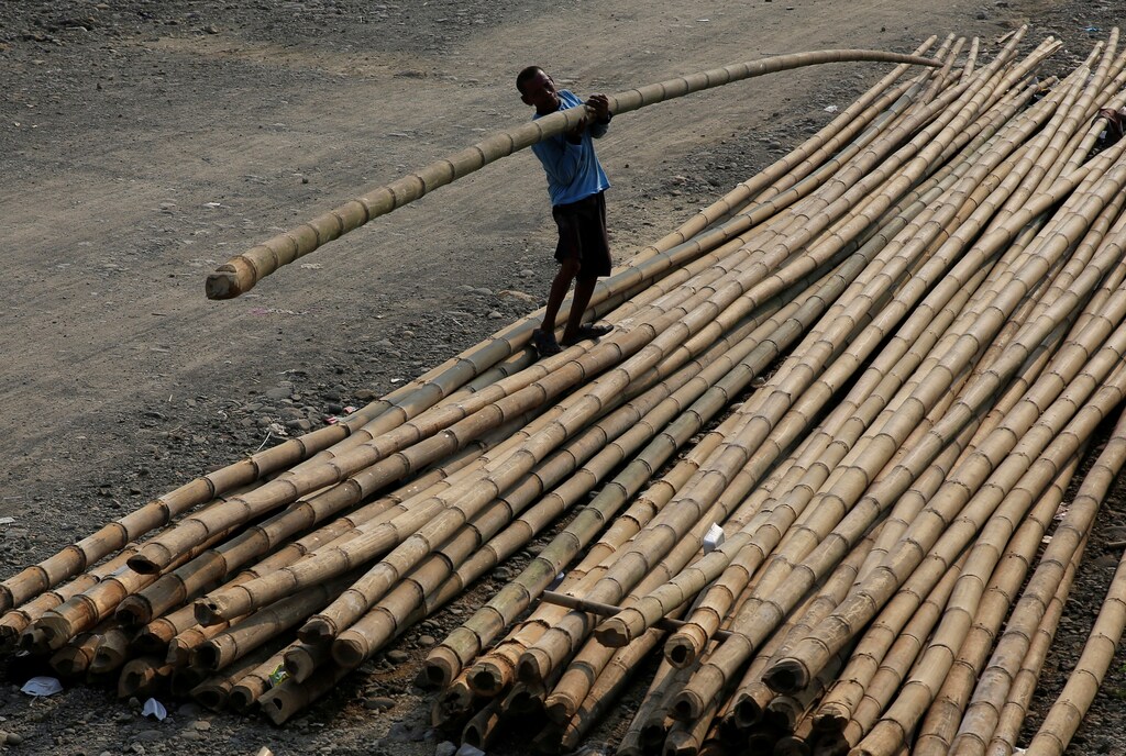 A fisherman lifts up bamboo for construction of a fish pond at Cilincing district in Jakarta, Indonesia, April 5, 2018. REUTERS/Beawiharta - RC11A9854EF0